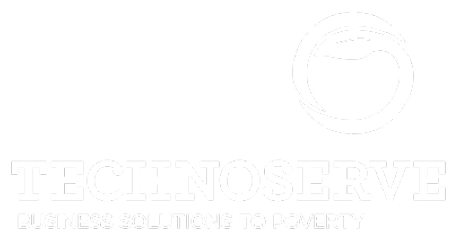 Technoserve